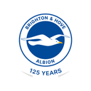 Brighton supporter badge
